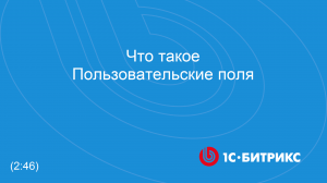 Что такое Пользовательские поля