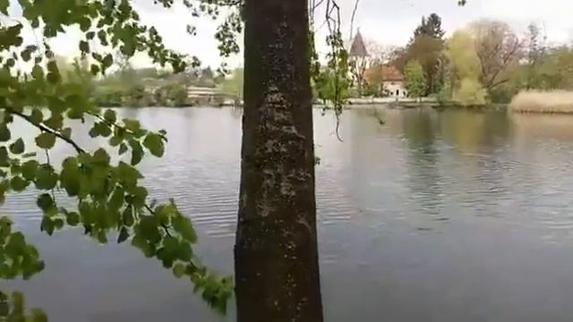 медитация релаксации смотреть онлайн