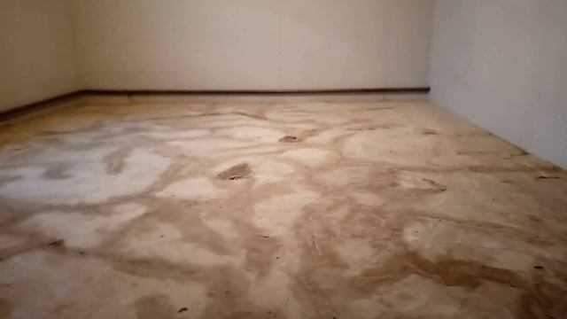 Глина стяжка с кафель клей смотреть онлайн