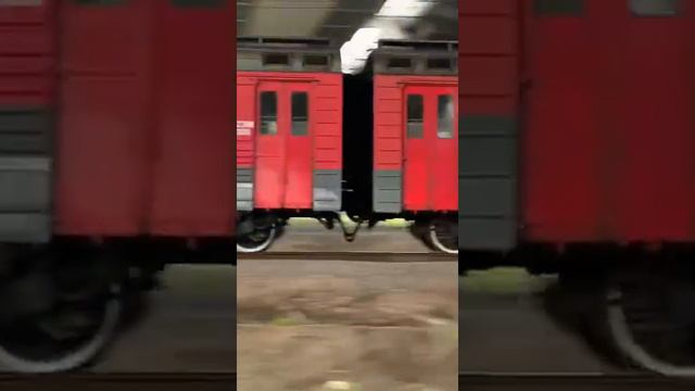 Эт2эм 001 до Спб. #поезд #ржд #санктпетербург #жд #электричка #эт2эм #россия #железнаядорога смотреть онлайн