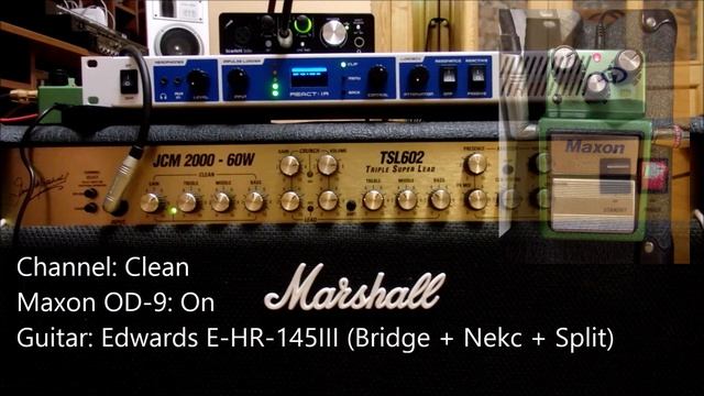 ST.ROCK REACT:IR + Marshall JCM 2000 смотреть онлайн