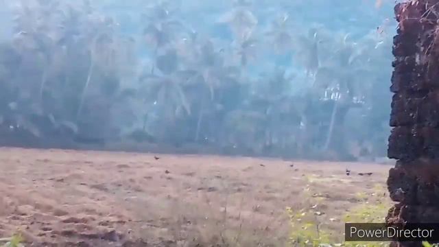 Рыбак в Индии Гоа готовит лодку, о медитации и пути к ней. смотреть онлайн