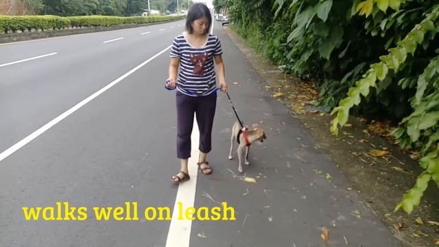 Java profile смотреть онлайн