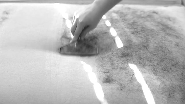 The Worst Pet Hair Remover - What Actually Works?