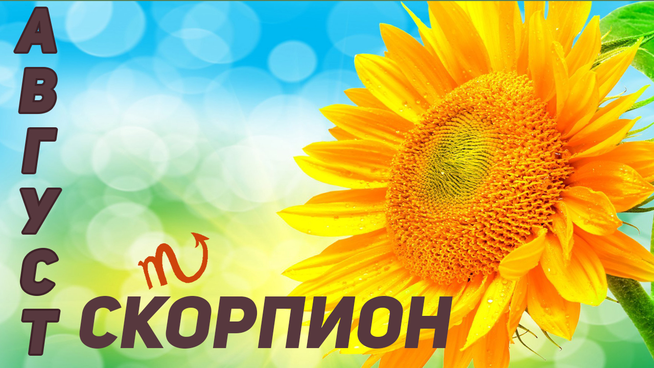 ? СКОРПИОН – ТАРО ПРОГНОЗ на АВГУСТ 2022 года ?