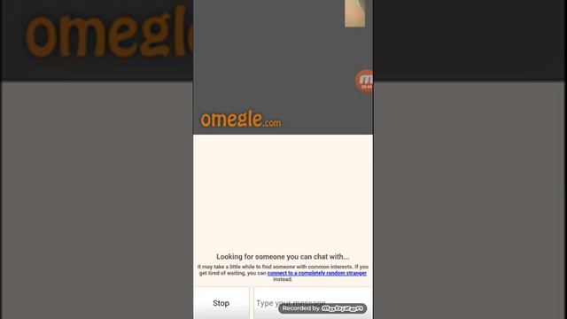 Crazy Cat Lady caught on omegle смотреть онлайн