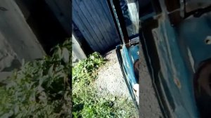 Как сменить личинку дверного замка в Ваз2105