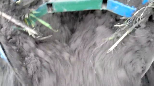 Сажалка 18 04 2015 смотреть онлайн