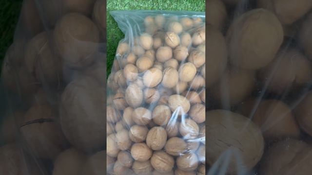 Грецкий орех в тонкой скорлупе смотреть онлайн