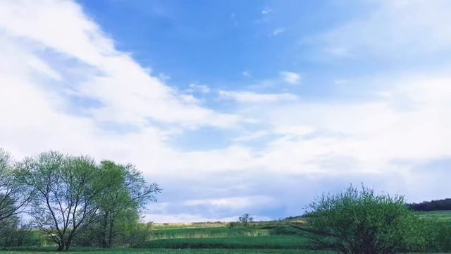 Кот Басе- Утро в росе на солнечной полосе... смотреть онлайн