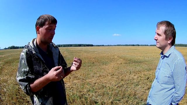 Итоги уборки сортов пшеницы Гранни и Лидер 80. Выгодно ли осенью работать глифосатом против сорняко смотреть онлайн