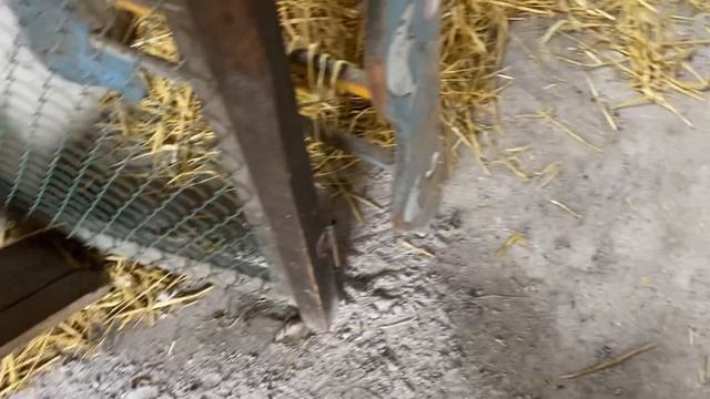 Мой СУПЕР курятник//Куры Мини мясные палевые смотреть онлайн