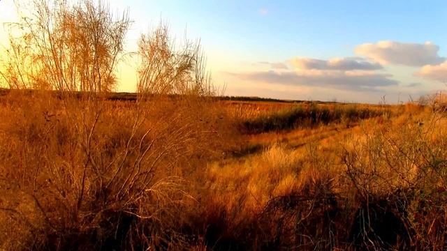 Спокойная музыка для отдыха, чтения, сна. Calm music for relaxing, reading, sleeping. смотреть онлайн