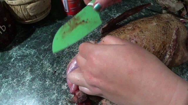 ЧОМУ НЕ РОСТУТЬ ІНДОКАЧКИ ? Причини браку у мускусів смотреть онлайн