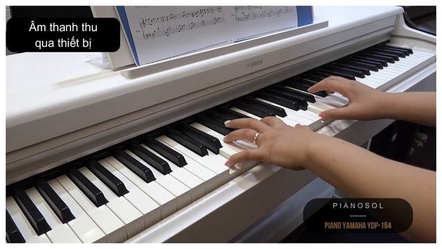 Âm Thanh Đàn Piano YAMAHA YDP-164 смотреть онлайн