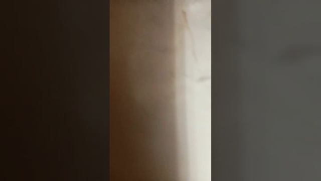 подарок брату триде ручкой смотреть онлайн