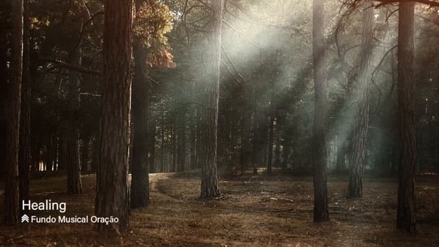 Healing | Spontaneous Instrumental Worship | Fundo Musical para Oração - Pad + Piano смотреть онлайн