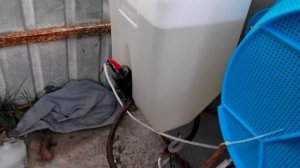 Авто подача воды в инкубатор .