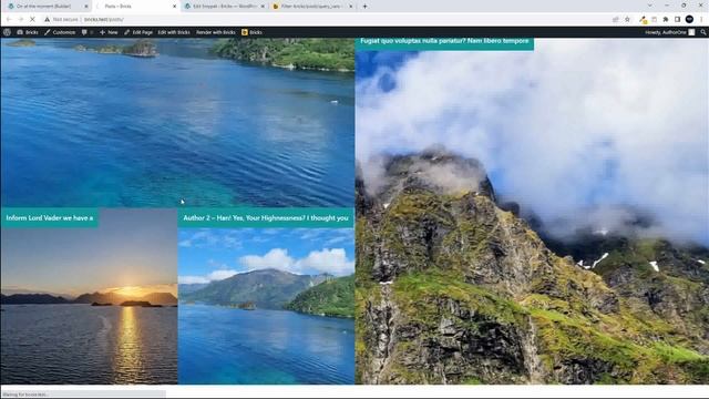 Show posts of any status in this Bricks Builder tutorial - draft, pending, published... смотреть онлайн