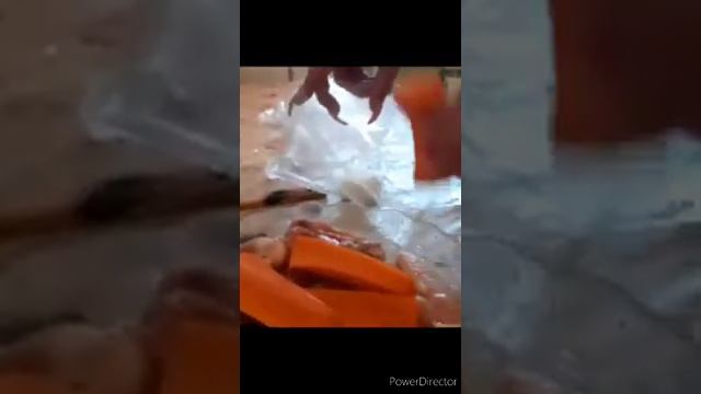 Судья и Закон