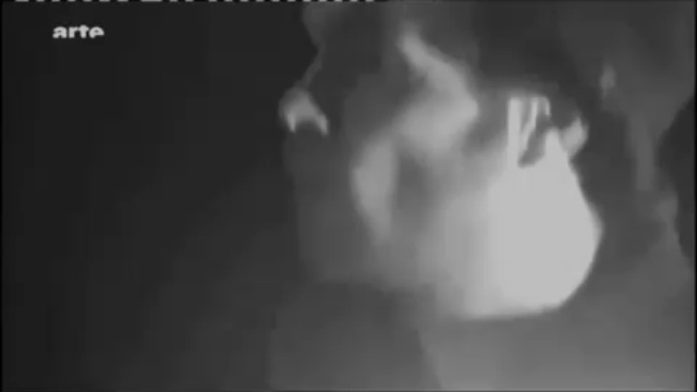 Fred Wesley - Beautiful смотреть онлайн