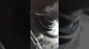 ЗАМЕНА САЛЬНИКА КАЛЕНВАЛА ФОЛЬКСВАГЕН ПОЛО ШКОДА РАПИД 1.6 105л.с/АРТИКУЛ САЛЬНИКА КАЛЕНВАЛА 805552