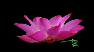 Просто расслабьтесь. Шавасана-медитация с Ириной Кузнецовой