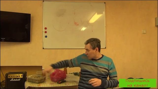 Микориза, мицелий. Грибы в огороде! смотреть онлайн