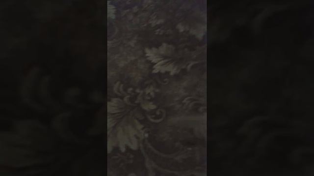 Прикол про кошечек!!! смотреть онлайн