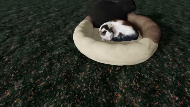 Maxwell the cat roblox animation смотреть онлайн