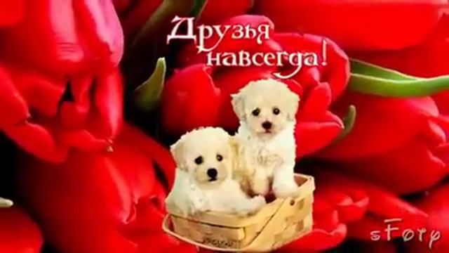 Пожелания! смотреть онлайн