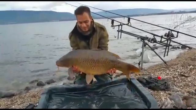 carp 13.500kg in israel смотреть онлайн