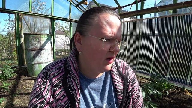 Почему желтеют помидоры? смотреть онлайн