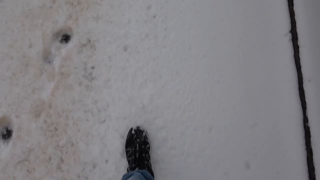 Testing my new Sony FDR-AX53 and my canon 6D in Nature смотреть онлайн