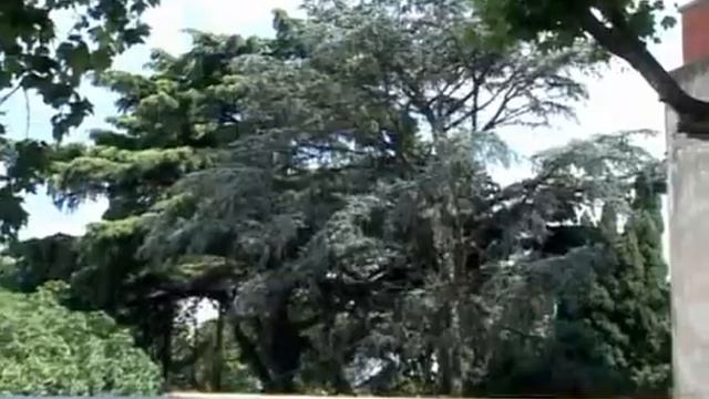 AUTOFANS PROGRAMA 76 смотреть онлайн