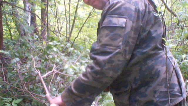 Вениамин ЗУЕВ фитотерапевт идёт посмотреть рябчика смотреть онлайн