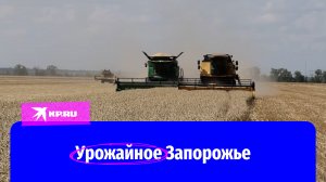 Уборка урожая пшеницы 2023 года стартовала в Запорожской области