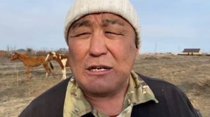 Катание на верблюдах 🐫🐫🐫Калмыкия Верблюжий остров❤️