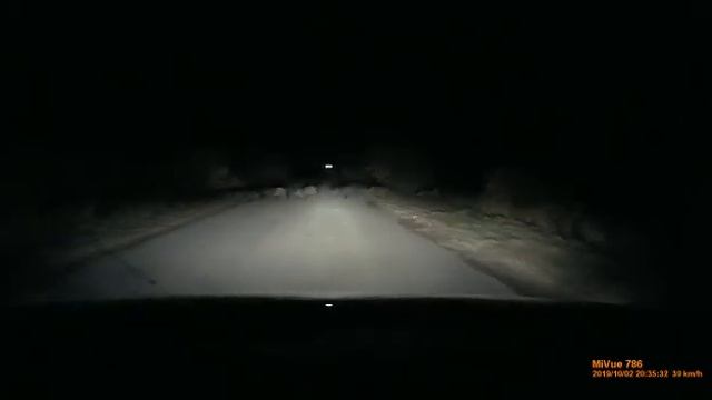 Андрюш, кто это.... Кабаны! смотреть онлайн