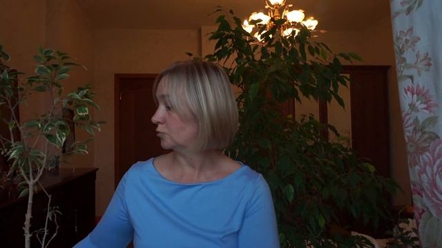 Фикус Бенджамина. Особенности ухода за фикусом Бенджамина. смотреть онлайн