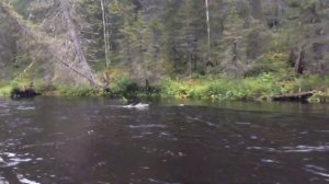 По  перекатам на мотовесле