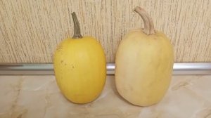 Тыква или кабачок? Тыква Болгарка (Дамский ноготь) и Кабачок спагетти. Классная дача.