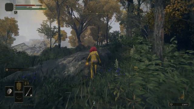 Elden Ring - How to Access Oridys's Rise Tower | Memory Stone Location | Weeping Peninsula смотреть онлайн