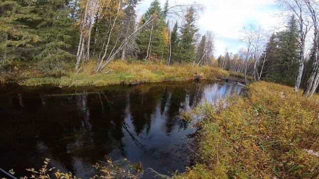 Ранее утро на природе#Ходовая рыбалка на хариуса. смотреть онлайн