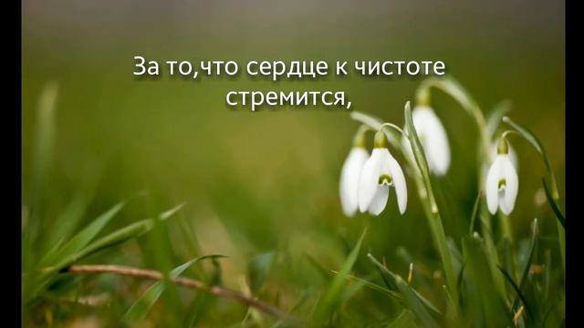 Христианские стихи''ДА!УЗКАЯ ТРОПИНКА'' смотреть онлайн