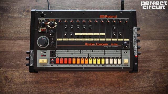 Roland TR-808 8/08 Day 2019 Vintage Drum Machine Jam смотреть онлайн