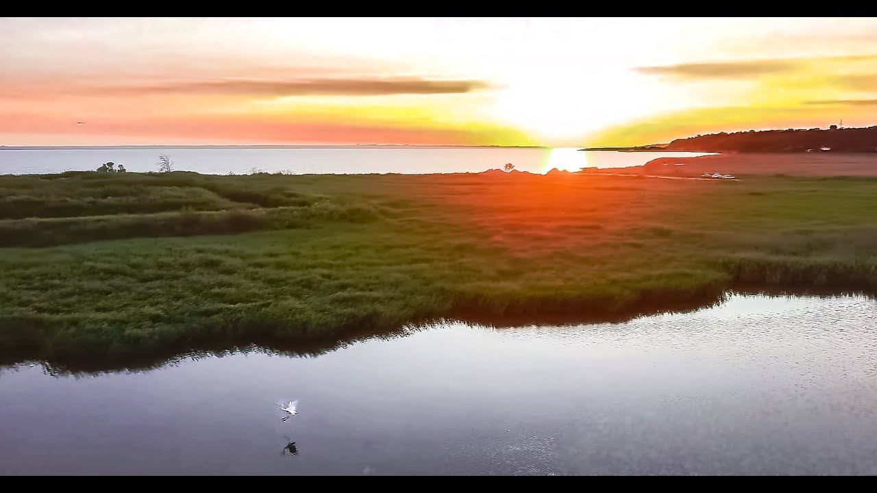 Каролино - Бугаз. Чайка в полете. Аисты на живописном озере.