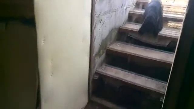 Подвал в доме на винтовых сваях Планета Строй Т 2014