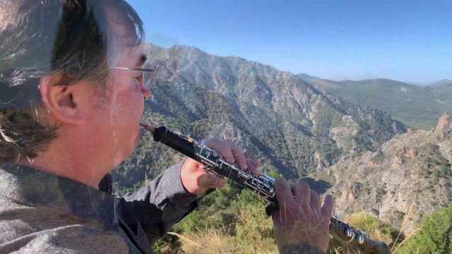 Alessandro MARCELLO - Concierto Para Oboe, Cuerdas Y Continuo En Re Menor