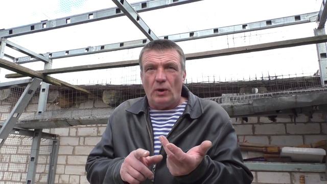 Красные белохвостые голуби ч 49 смотреть онлайн